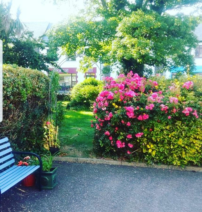 Ashe'S Accommodation Dingle Luaran gambar
